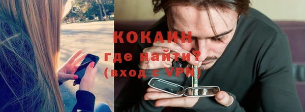 крисы Богородицк