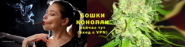spice Верея