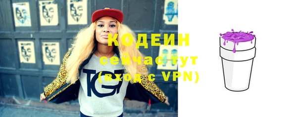 крисы Богородицк