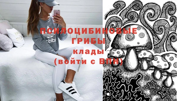 ГАЛЛЮЦИНОГЕННЫЕ ГРИБЫ Богородск