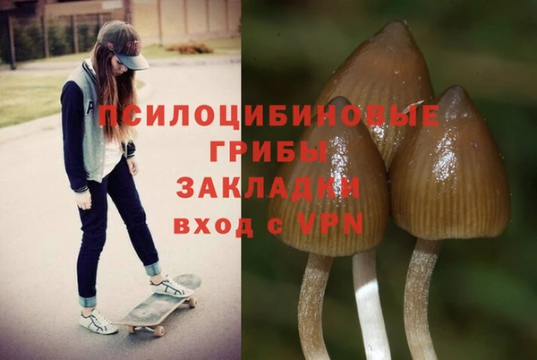 ГАЛЛЮЦИНОГЕННЫЕ ГРИБЫ Богородск