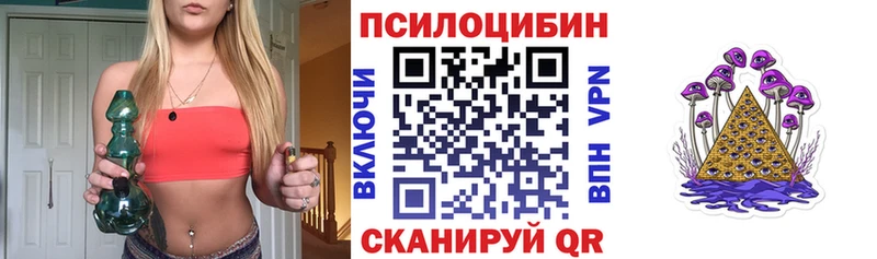 магазин продажи наркотиков  МЕГА ONION  Галлюциногенные грибы мицелий  Чишмы 